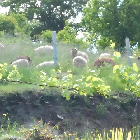 Casa Mourelo Local * 蓬蒂-达巴尔卡