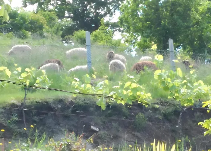 Casa Mourelo Local * Ponte da Barca